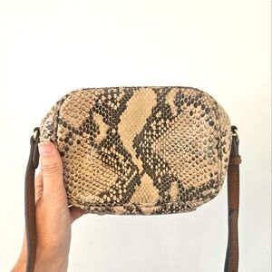 Vince Camuto Snakeskin Camera Purse